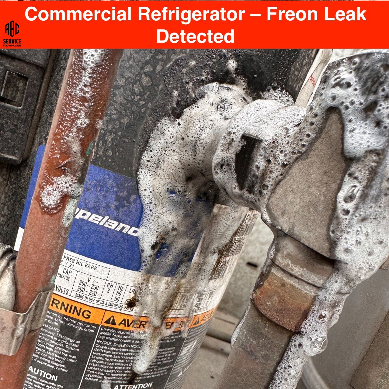 Commercial Refrigerator – Freon Leak Detected. San Jose
